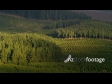 Forestry Aerial 1 AERIAL 3212